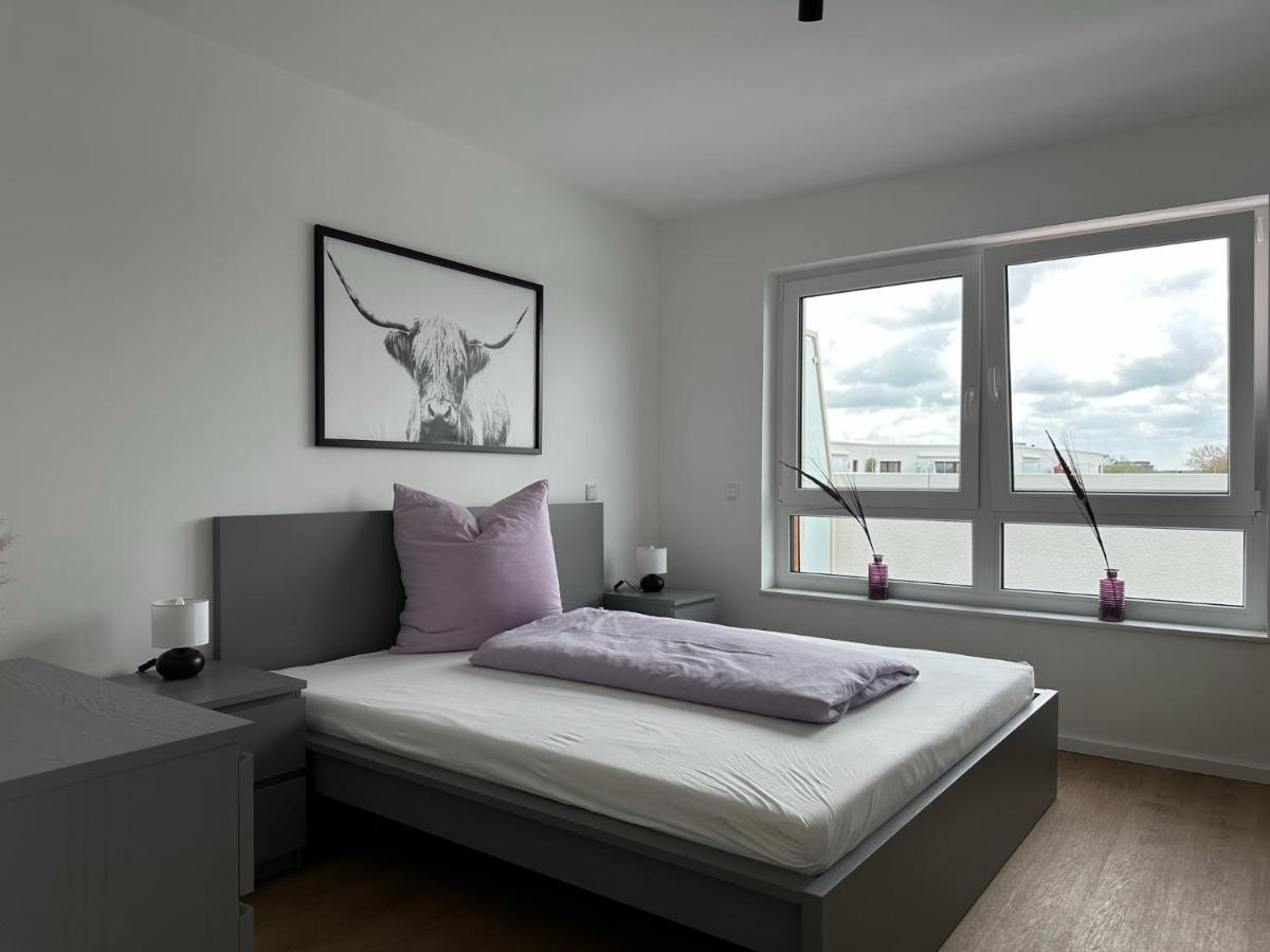 Ostwall Terrassen 5.29